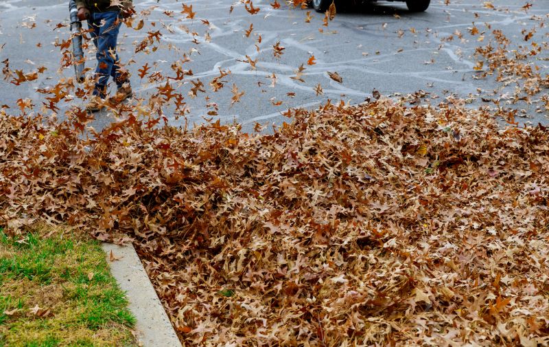 Professional Leaf Removal Benefits