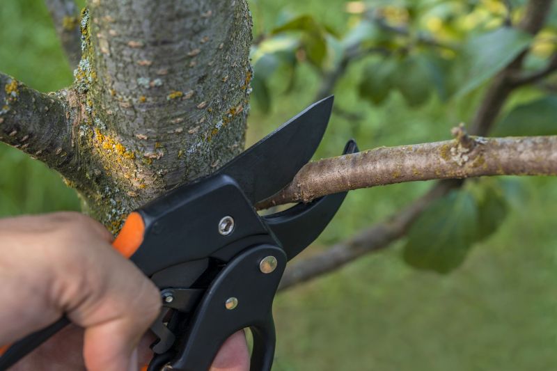 Pruning Shears and Saw