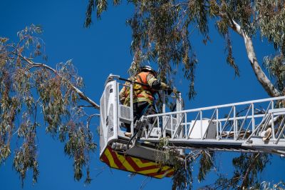 High-Access Tree Care