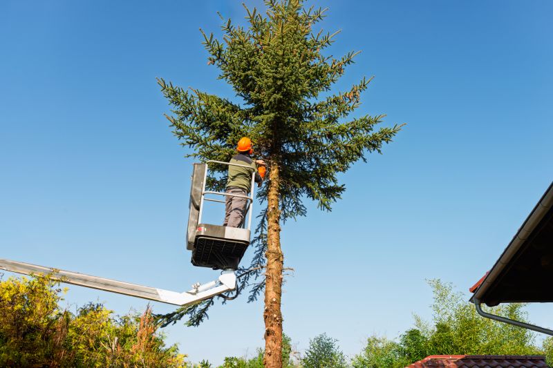 Tree Trimming Equipment
